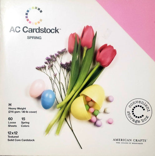 AC American Crafts cardstock Paper Pack 12