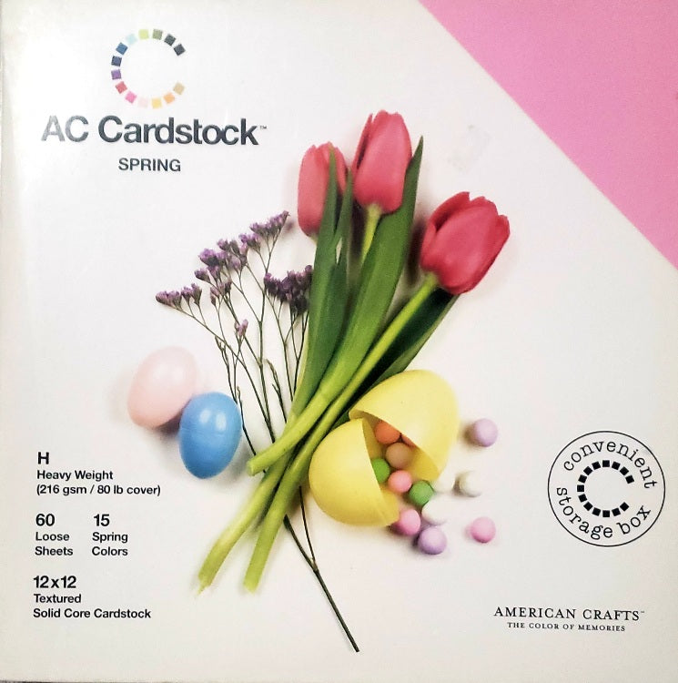 AC American Crafts cardstock Paper Pack 12