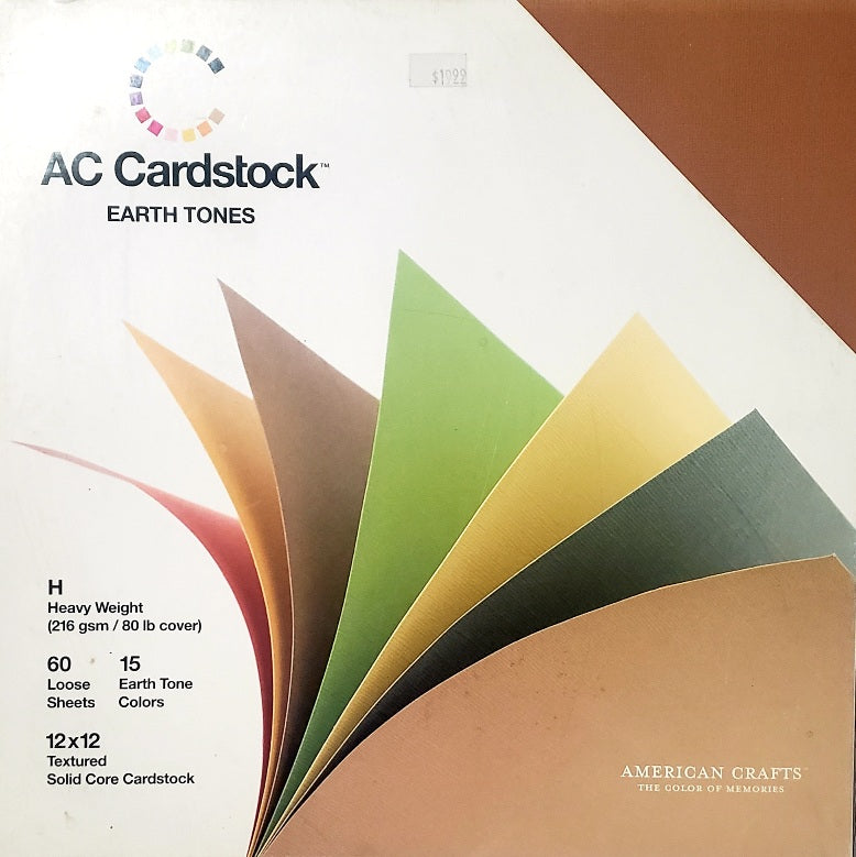 AC American Crafts cardstock Paper Pack 12