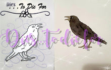 Load image into Gallery viewer, Dies... to die for LLC  metal cutting die - Raven / crow